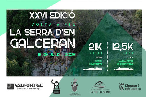 26071955cartel